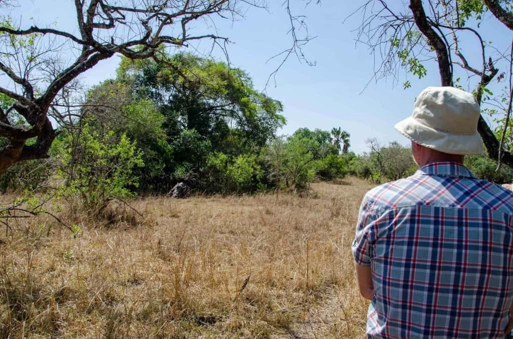 the dangers of geotagging - Guy looking at rhino