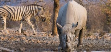Ongava Private Game Reserve