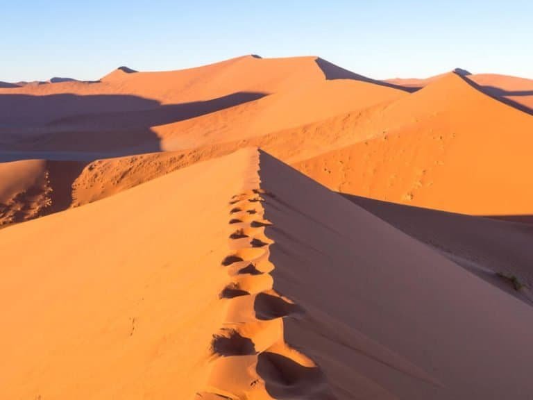 Namibia travel guide - Big Daddy