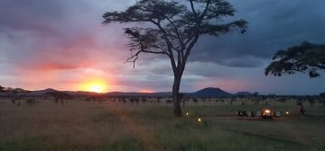 Tanzania – Serengeti, Ngorongoro and Zanzibar – Exclusive