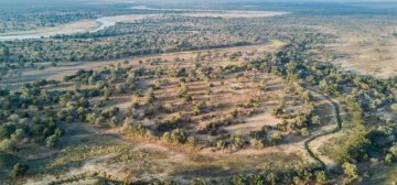 Remote Zambia – The Ultimate Luangwa Valley Adventure