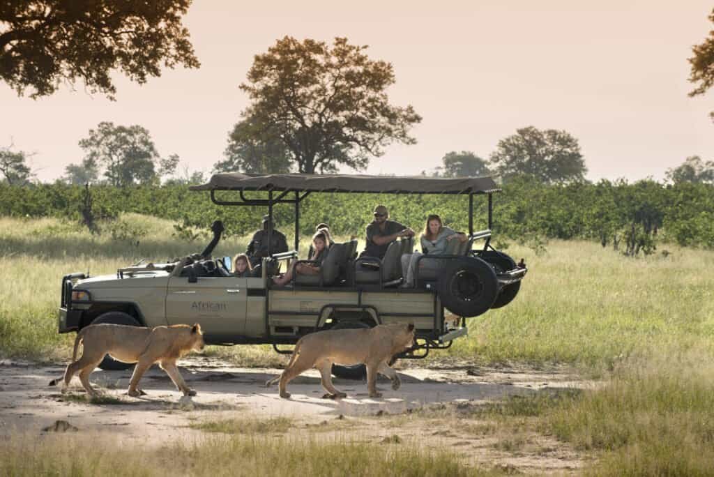 family safaris in Africa