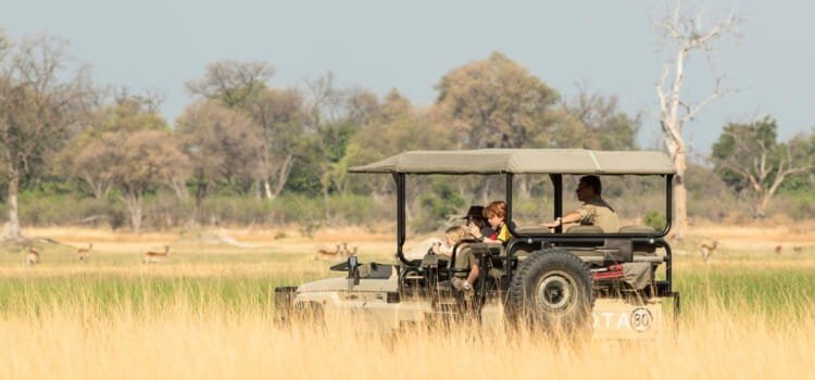 The Ultimate Guide to Family Safaris in Africa: A Comprehensive Adventure Planner