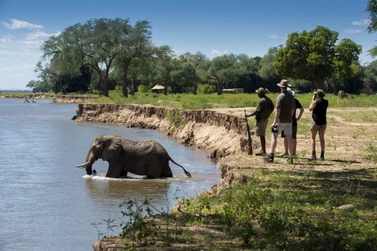 african safari planning guide