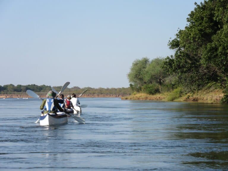 Zambia and Malawi adventure: Lower Zambezi canoeing